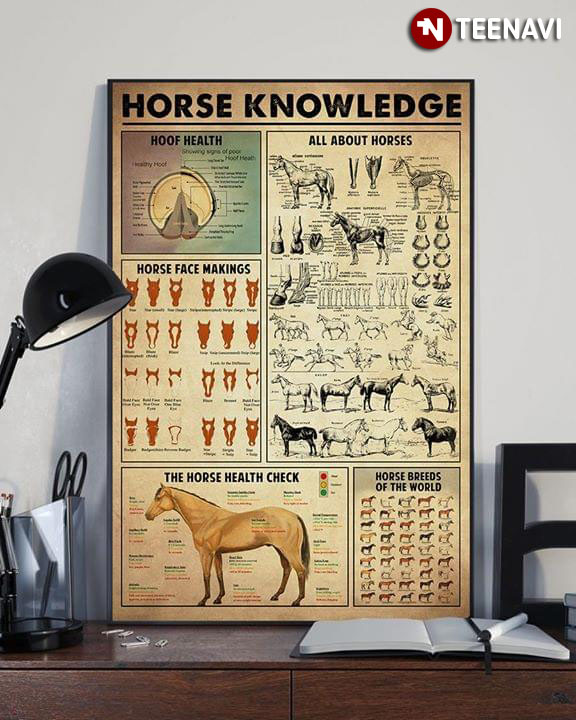 Horse Knowledge Hoof Health Horse Face Makings All About Horses The Horse Health Check Horse Breeds Of The World