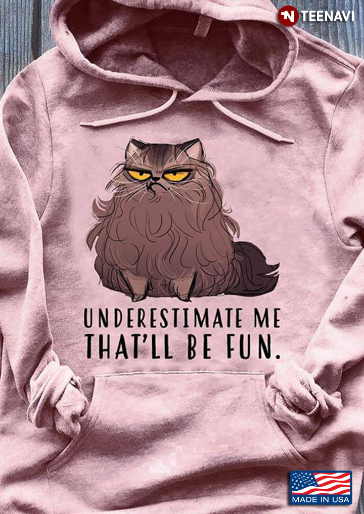 Underestimate Me That'll Be Fun Funny Cat