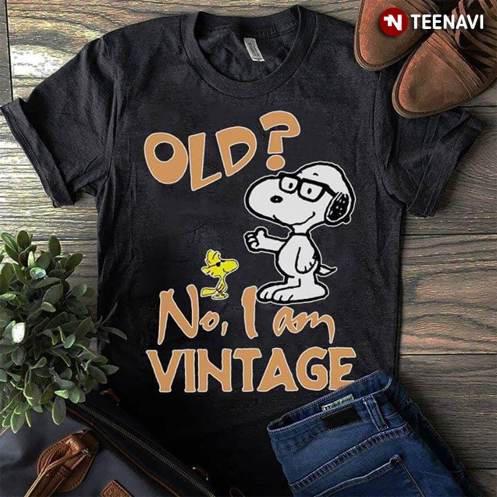 Snoopy And Woodstock Older No I Am Vintage