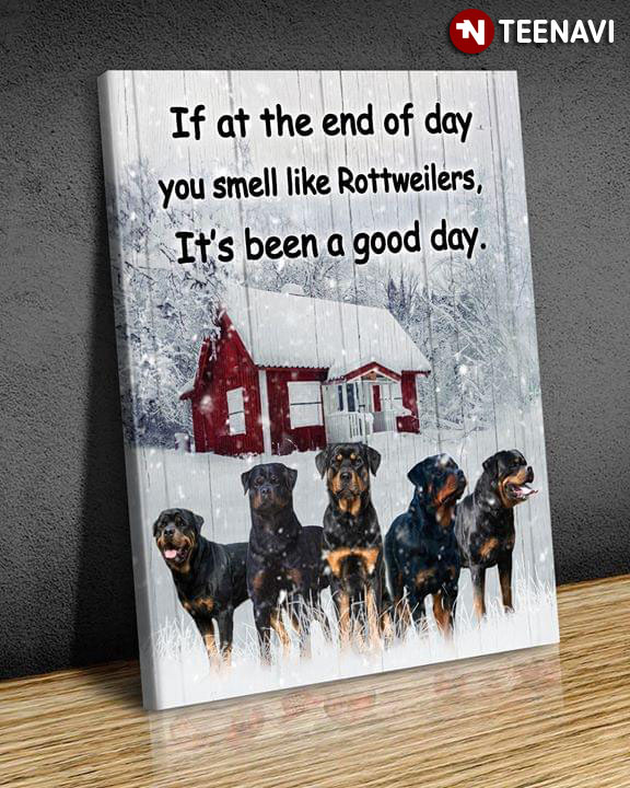 Rottweilers In Snow If At The End Of Day You Smell Like Rottweilers It’s Been A Good Day