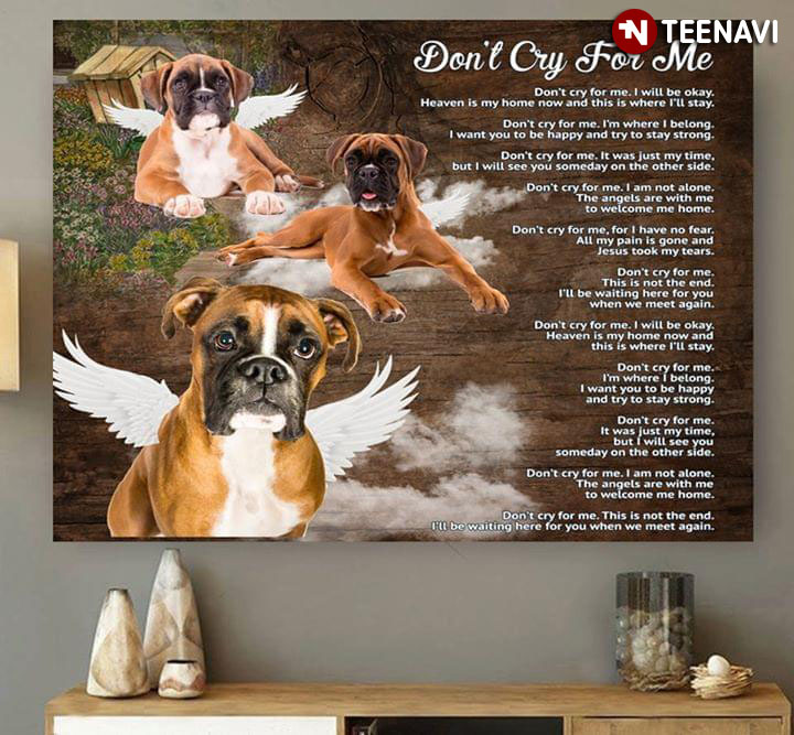 Boxer Dogs With Angel Wings Don’t Cry For Me I’ll Be Okay Heaven Is My Home Now And This Is Where I’ll Stay