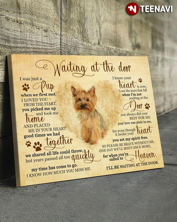 Yorkshire Terrier Waiting At The Door I Was Just A Pup When We First Met I Loved You From The Start