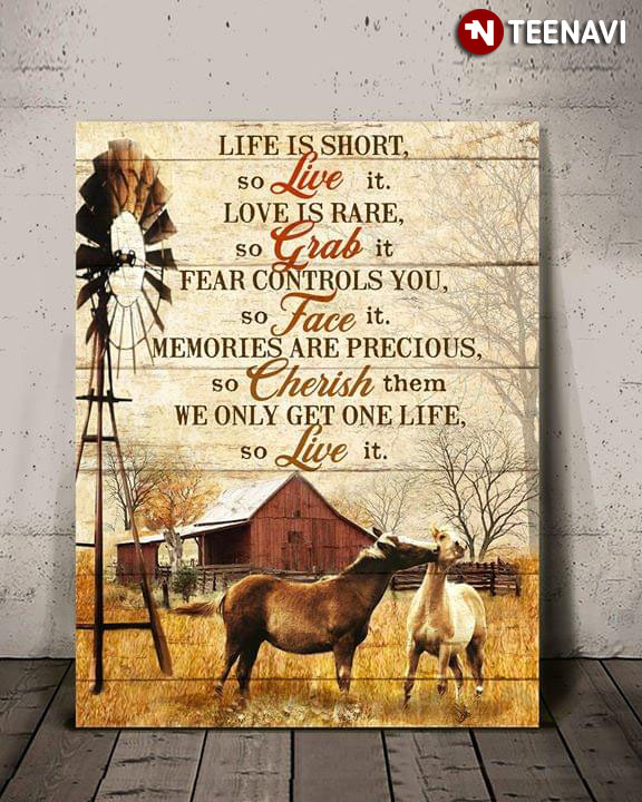 Brown Horse Kissing White Horse On Farm Life Is Short So Live It Love Is Rare So Grab It Fear Controls You So Face It