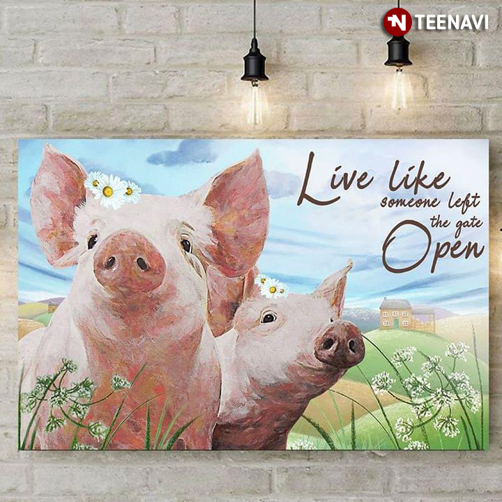 Cute Pigs With Daisy Flowers Live Like Someone Left The Gate Open