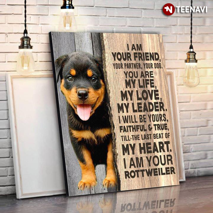 Rottweiler Puppy I Am Your Friend Your Partner Your Dog You Are My Life My Love My Leader