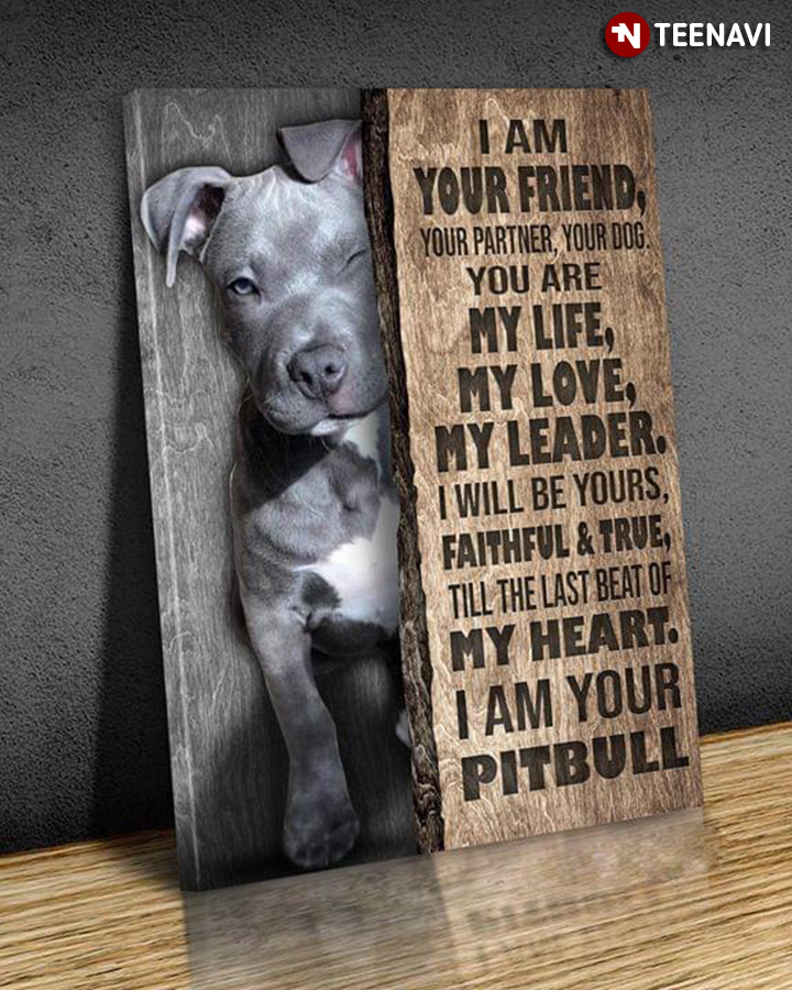 Pitbull Puppy I Am Your Friend Your Partner Your Dog You Are My Life My Love My Leader