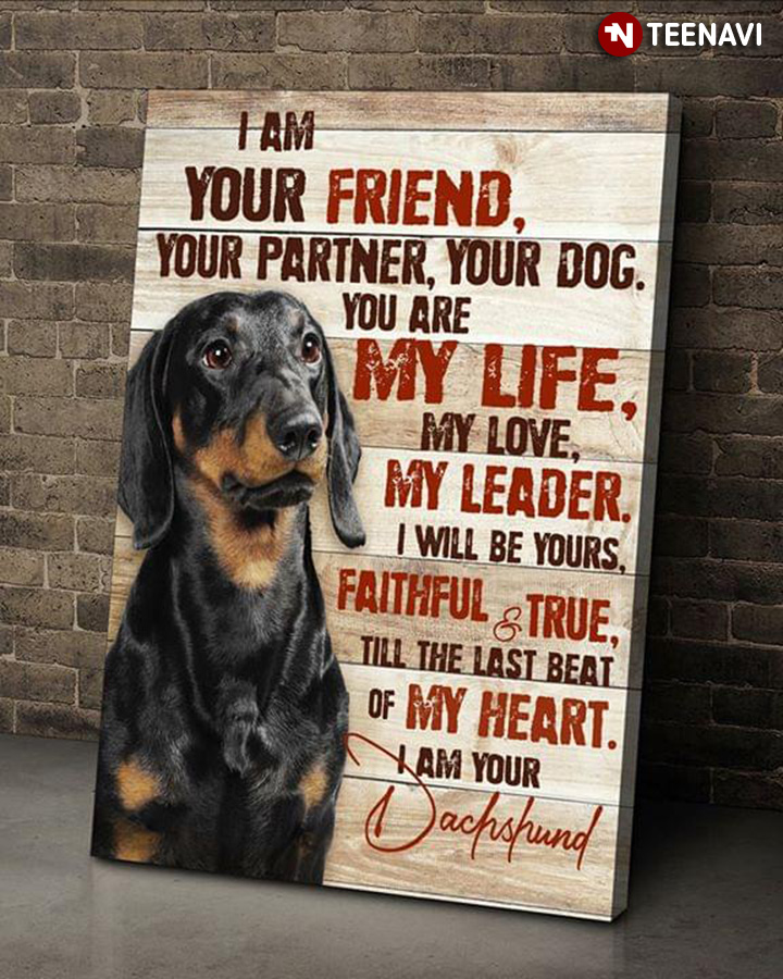 Dachshund I Am Your Friend Your Partner Your Dog You Are My Life My Love My Leader