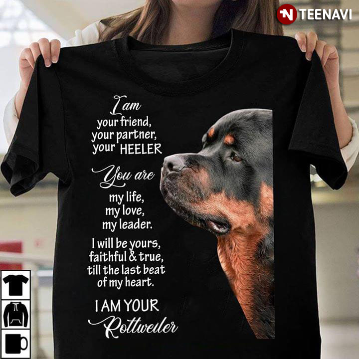 Rottweiler I Am Your Friend, Your Partner, Your Heeler