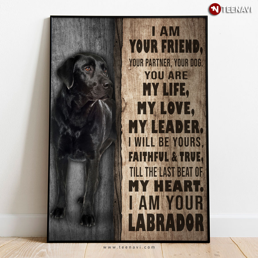 Black Labrador Retriever I Am Your Friend Your Partner Your Dog You Are My Life My Love My Leader Poster