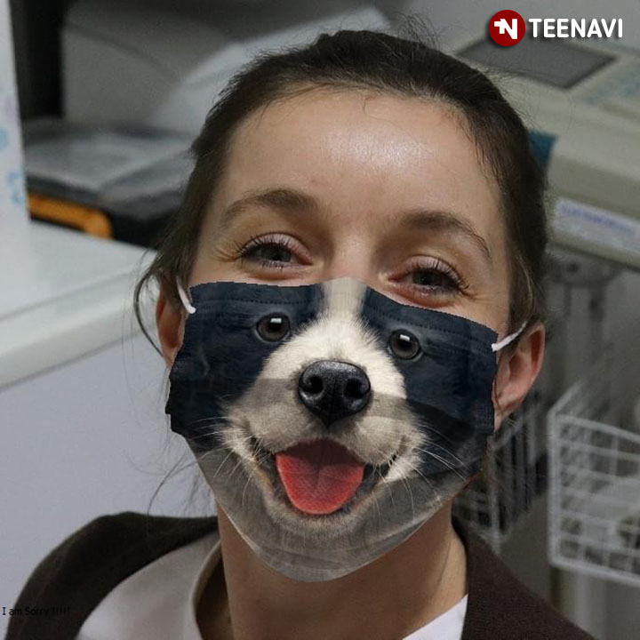 Border Collie Face Dog 3D