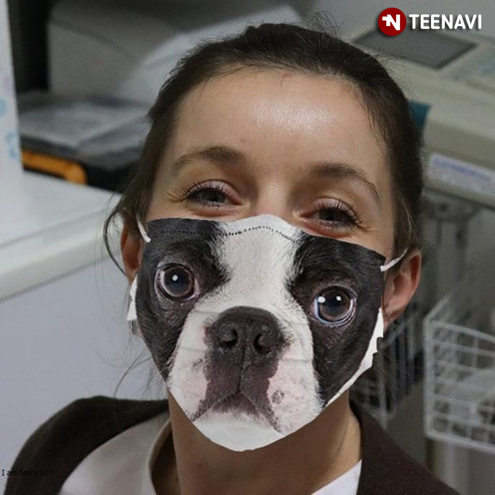 Boston Terrier Face Dog 3D