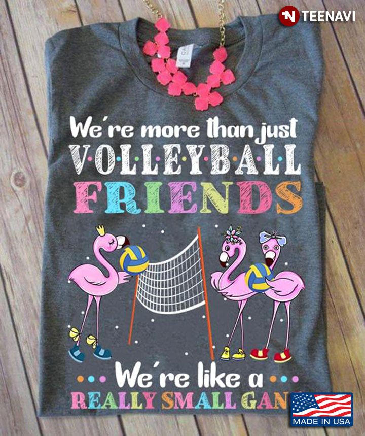 We Are More Than Just Volleyball Friends We're Like A Really Small Gang Flamingo