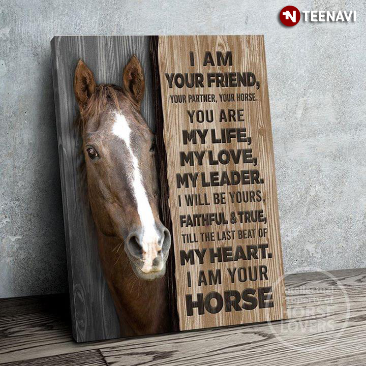 Horse I Am Your Friend, Your Partner, Your Horse. You Are My Life. My Love, My Leader