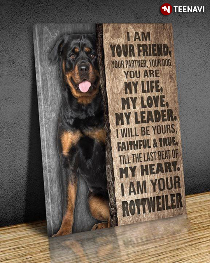 Rottweiler I Am Your Friend Your Partner Your Dog You Are My Life My Love My Leader