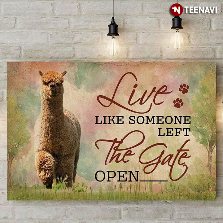 New Version Llamas Live Like Someone Left The Gate Open