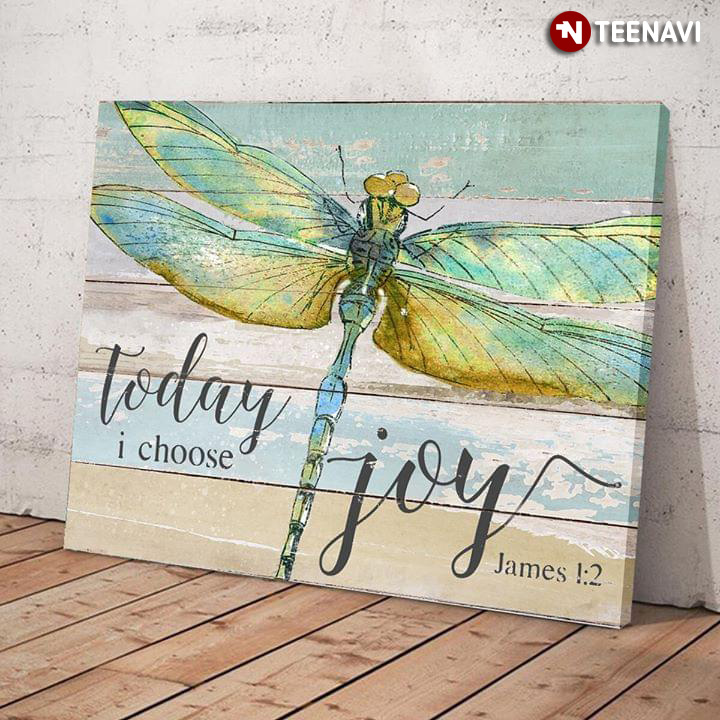Gorgeous Dragonfly Today I Choose Joy James 1:2