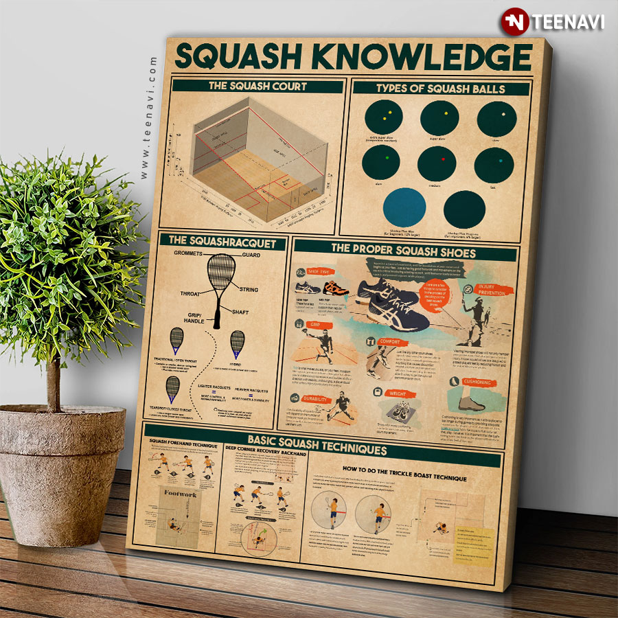 Squash Knowledge Poster