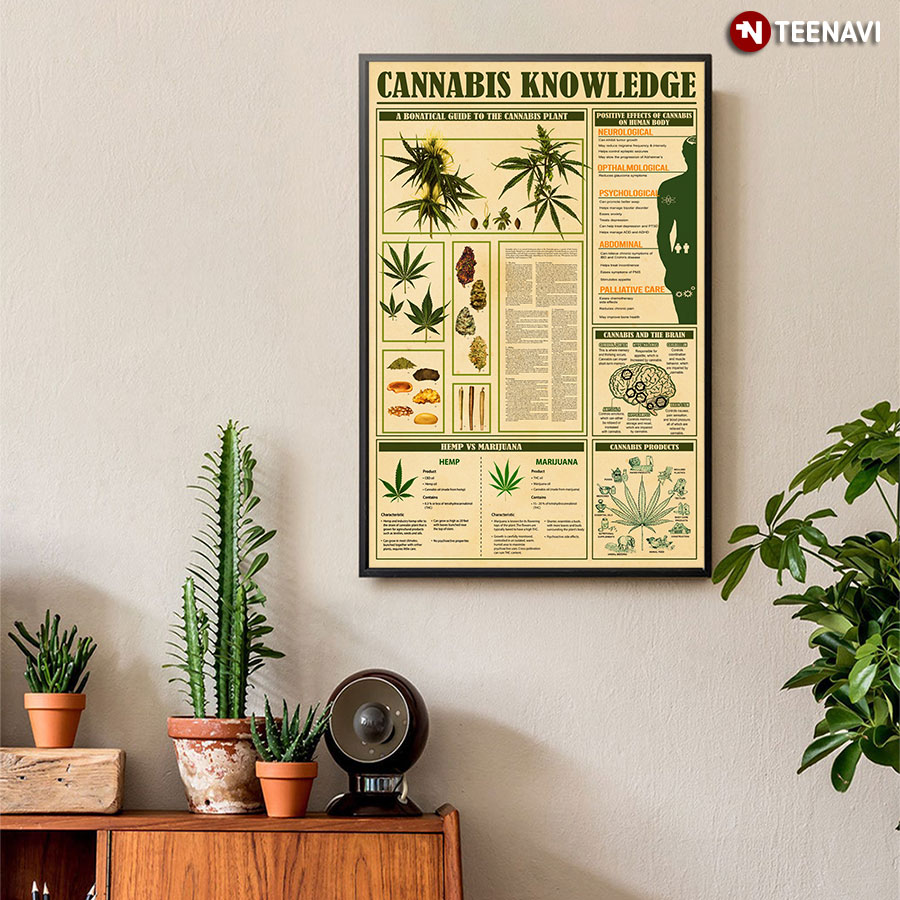 Cannabis Knowledge Poster