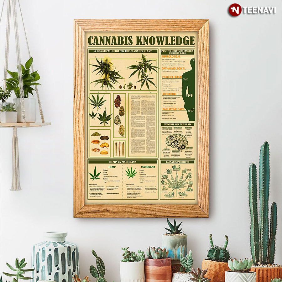Cannabis Knowledge Poster