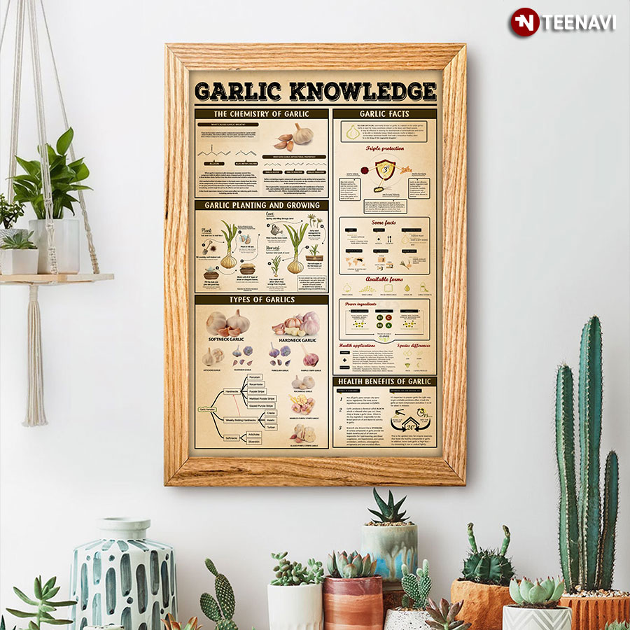 Garlic Knowledge Poster