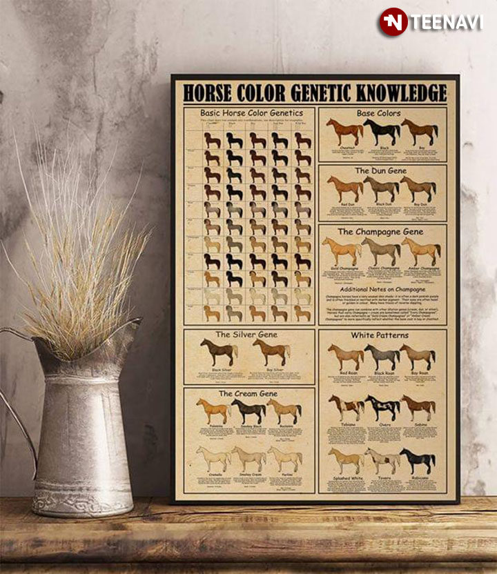 Horse Color Genetic Knowledge