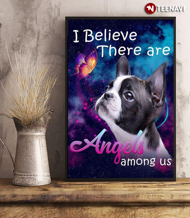 Adorable Boston Terrier & Butterflies I Believe There Are Angels Among Us