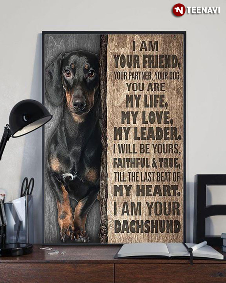 New Version Dachshund I Am Your Friend, Your Partner, Your Dog. You Are My Life, My Love, My Leader