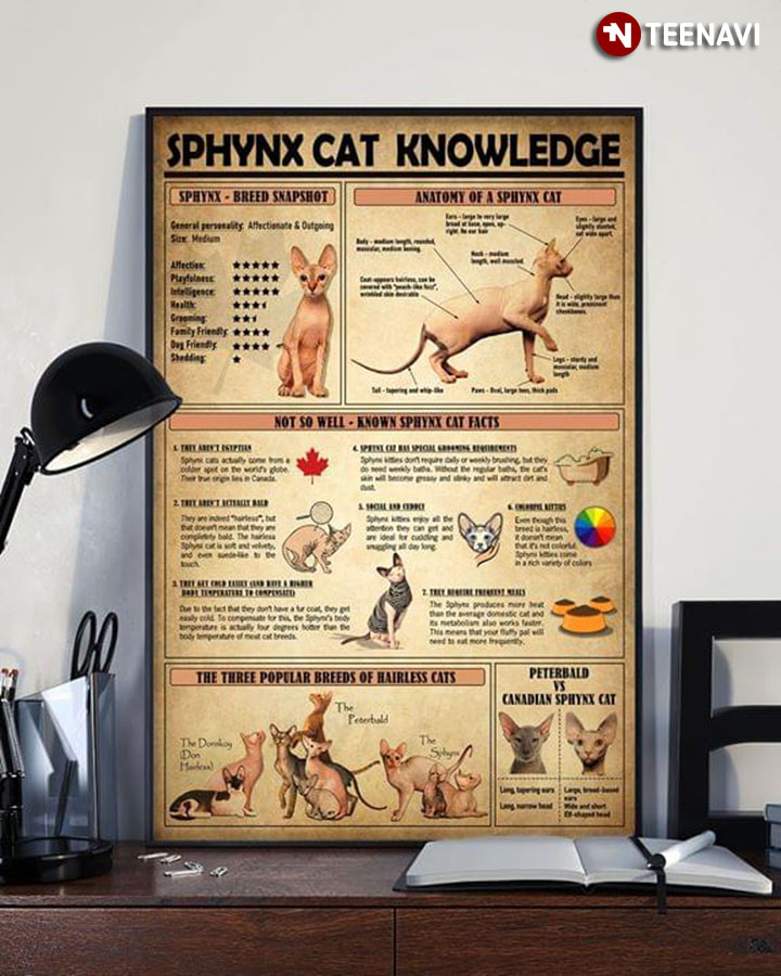 Sphynx Cat Knowledge