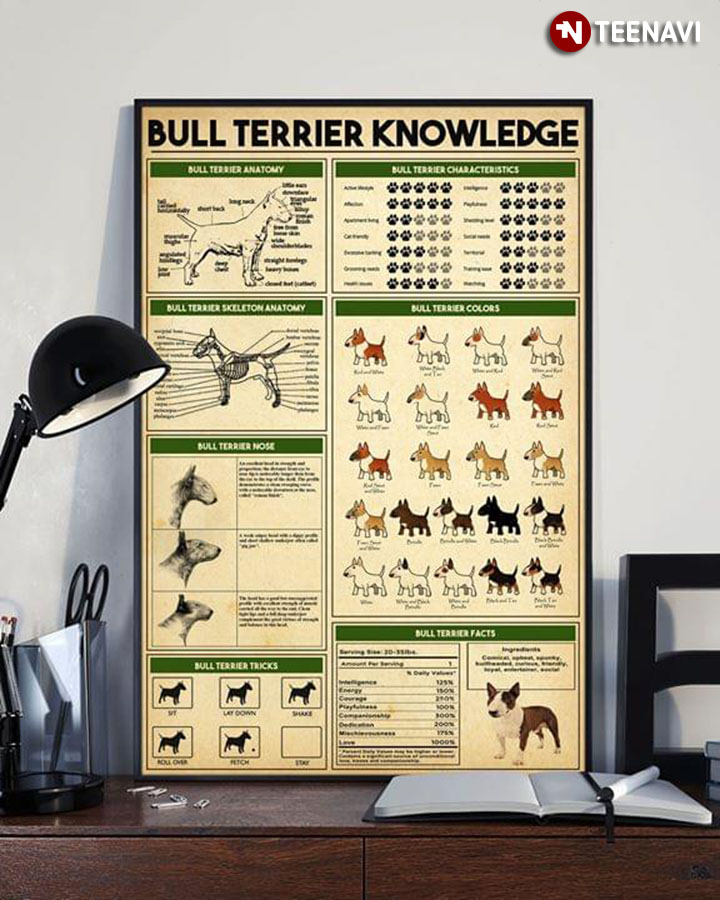 Bull Terrier Knowledge