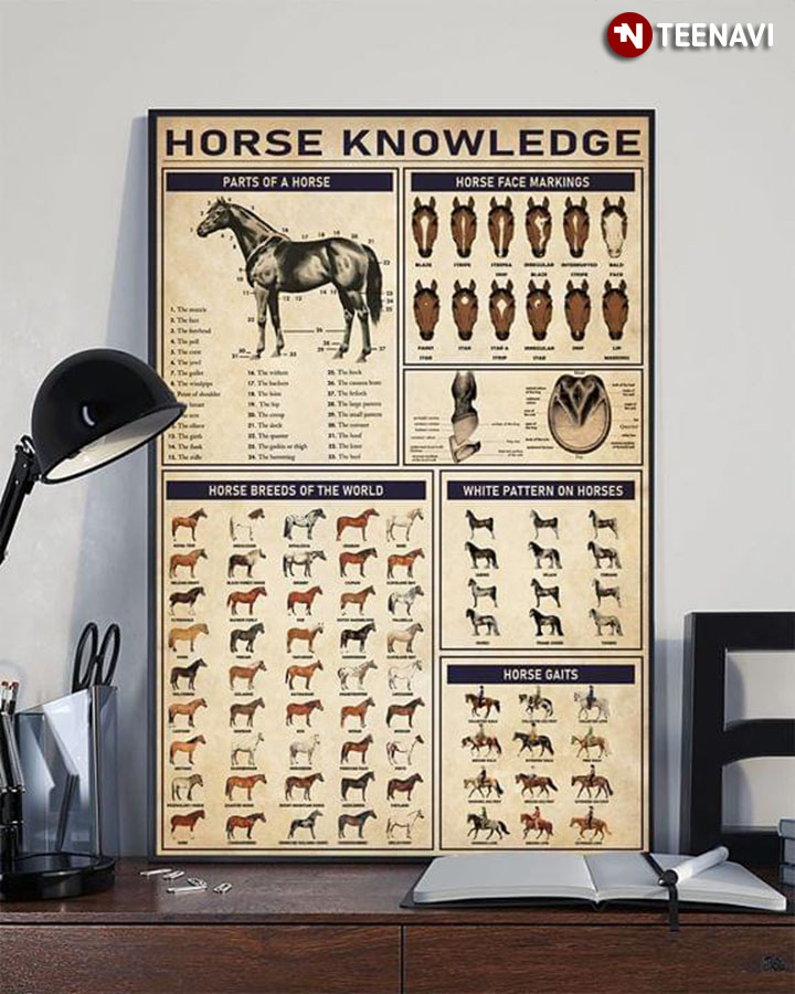 Horse Knowledge