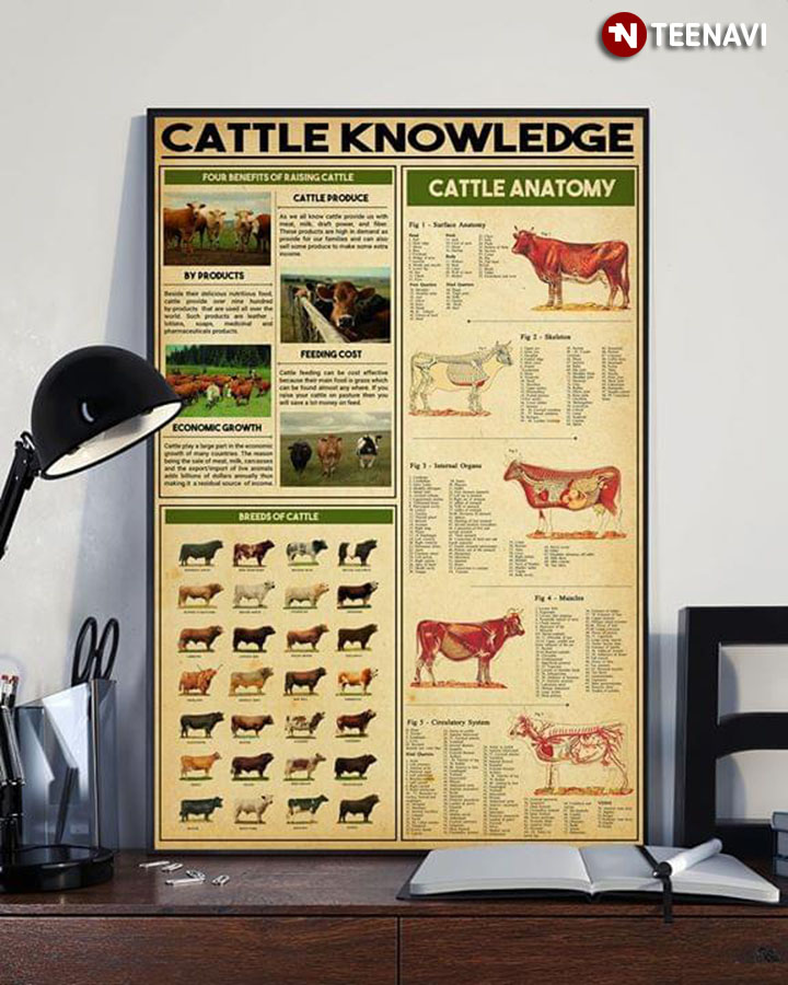 Cattle Knowledge