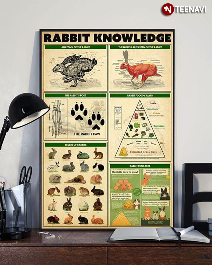 Rabbit Knowledge