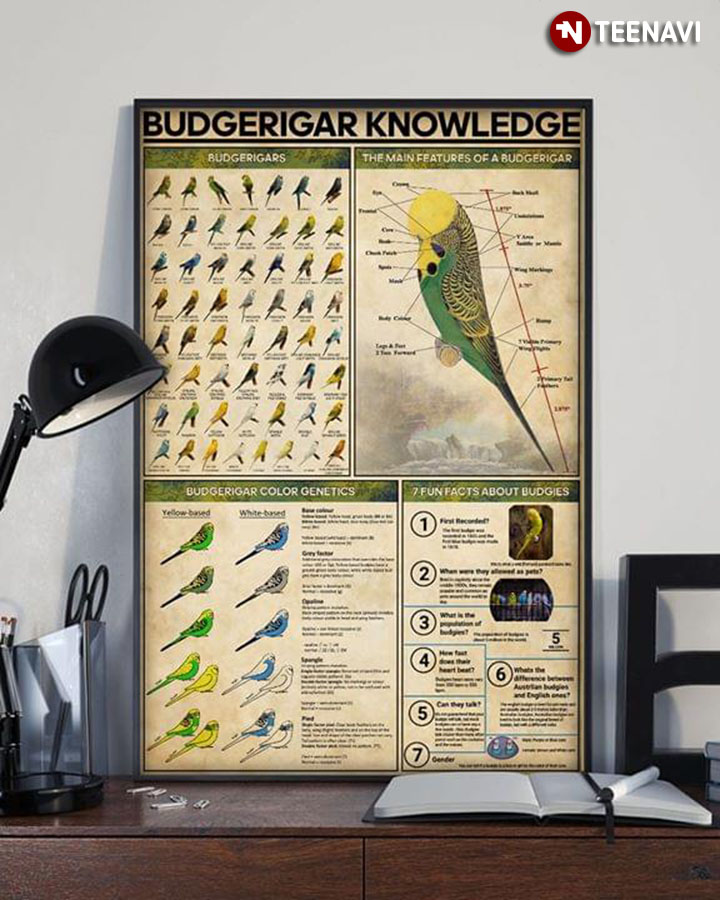 Budgerigar Knowledge