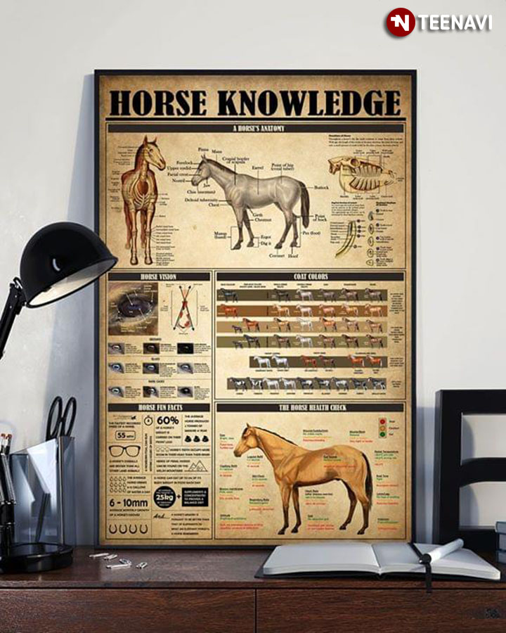 New Version Horse Knowledge