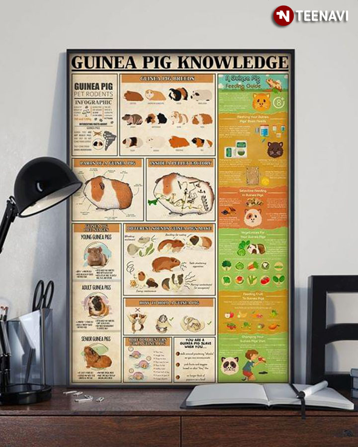 Guinea Pig Knowledge