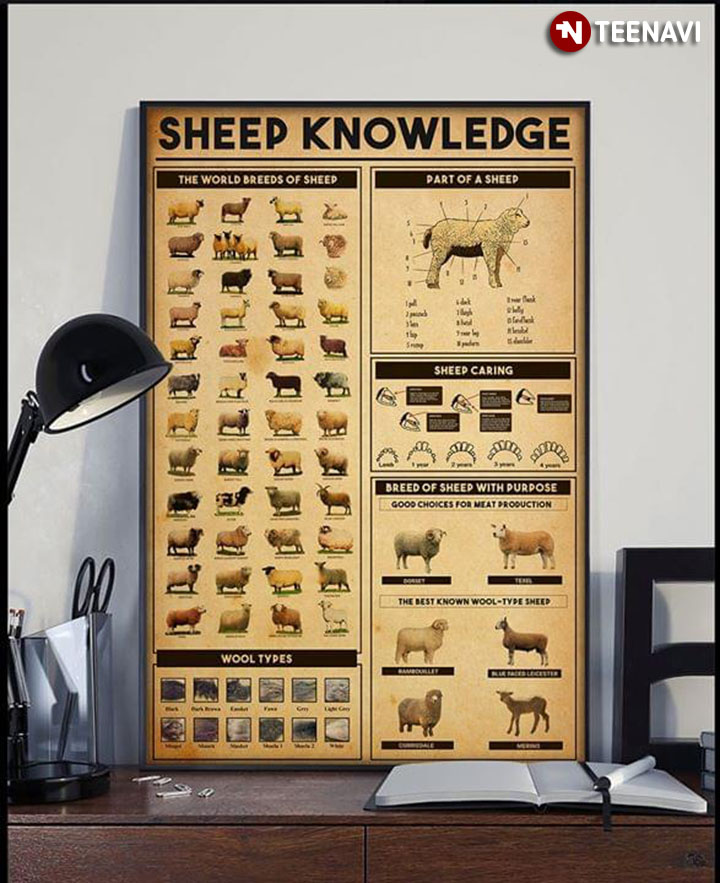 Sheep Knowledge