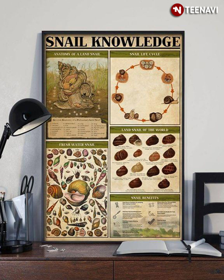 Snail Knowledge