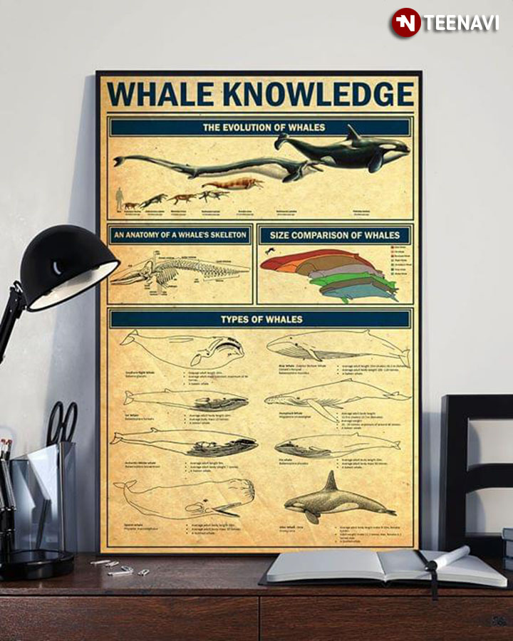 Whale Knowledge