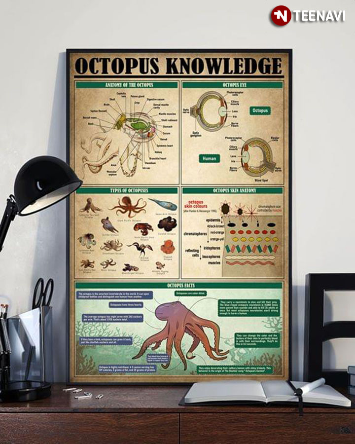 Octopus Knowledge
