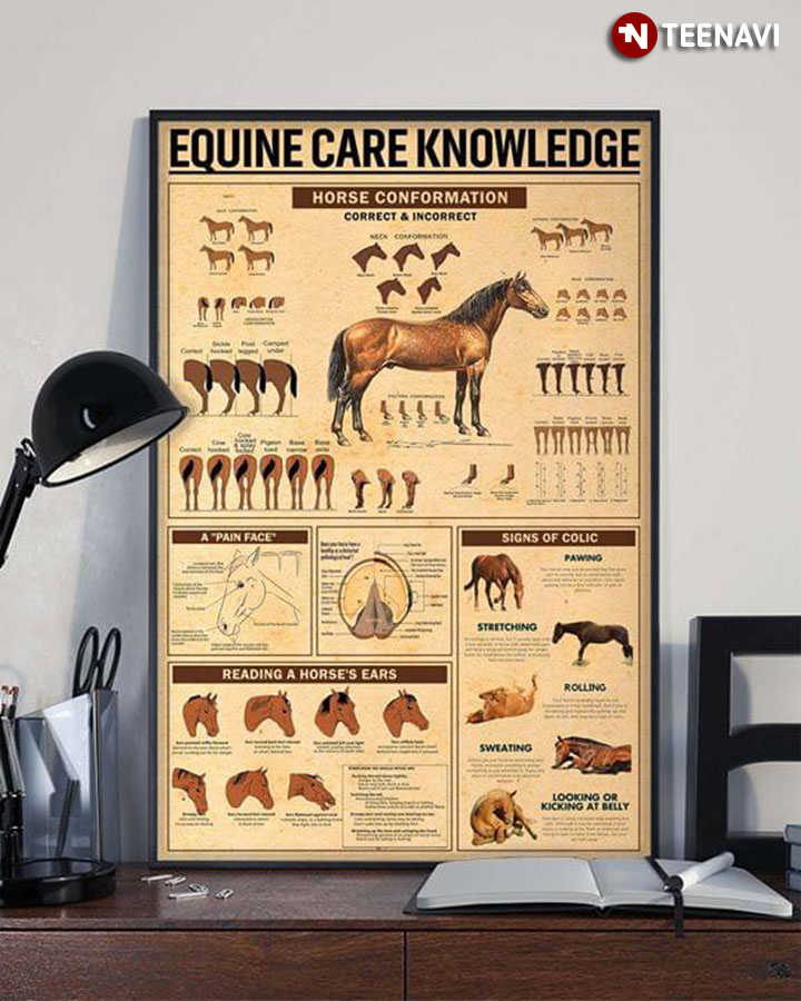 Equine Care Knowledge
