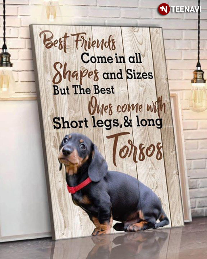 Dachshund Best Friends Come In All Shapes And Sizes But The Best Ones Come With Short Legs & Long Torsos