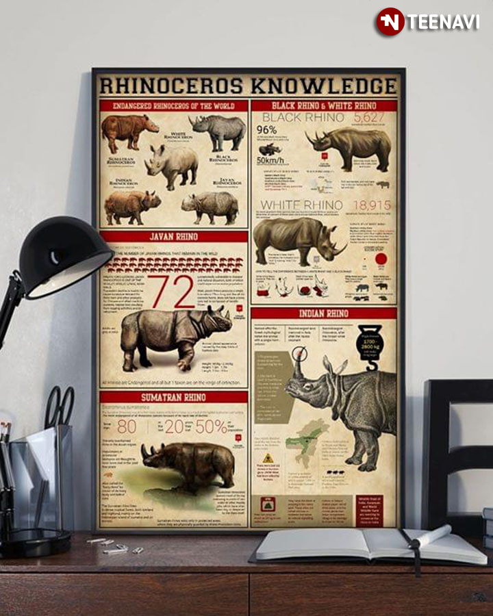 Rhinoceros Knowledge
