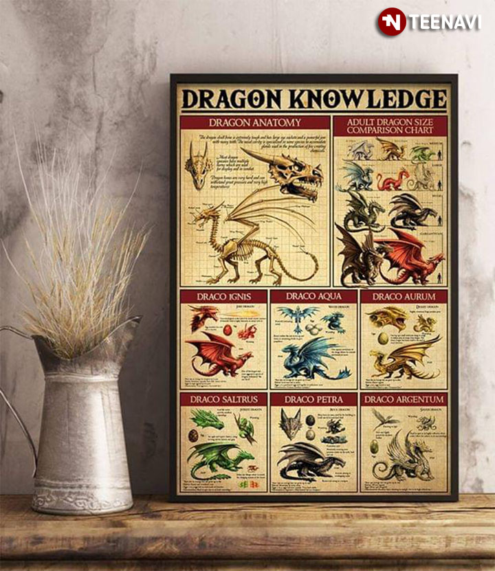 New Version Dragon Knowledge