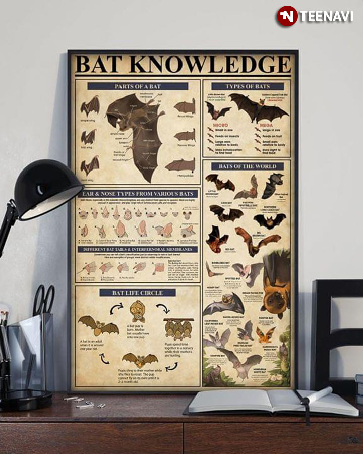 Bat Knowledge