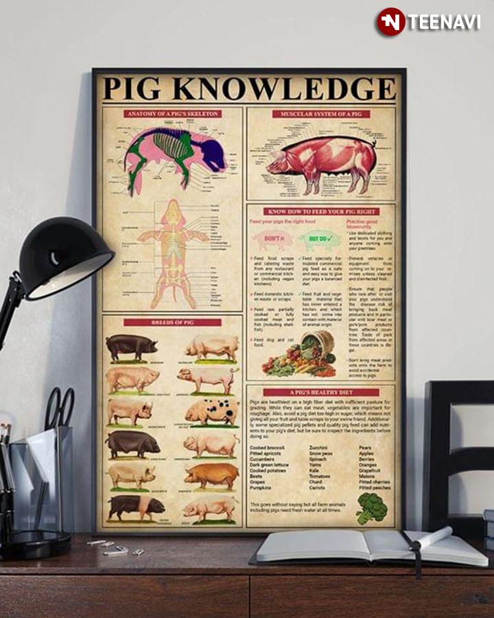 Pig Knowledge