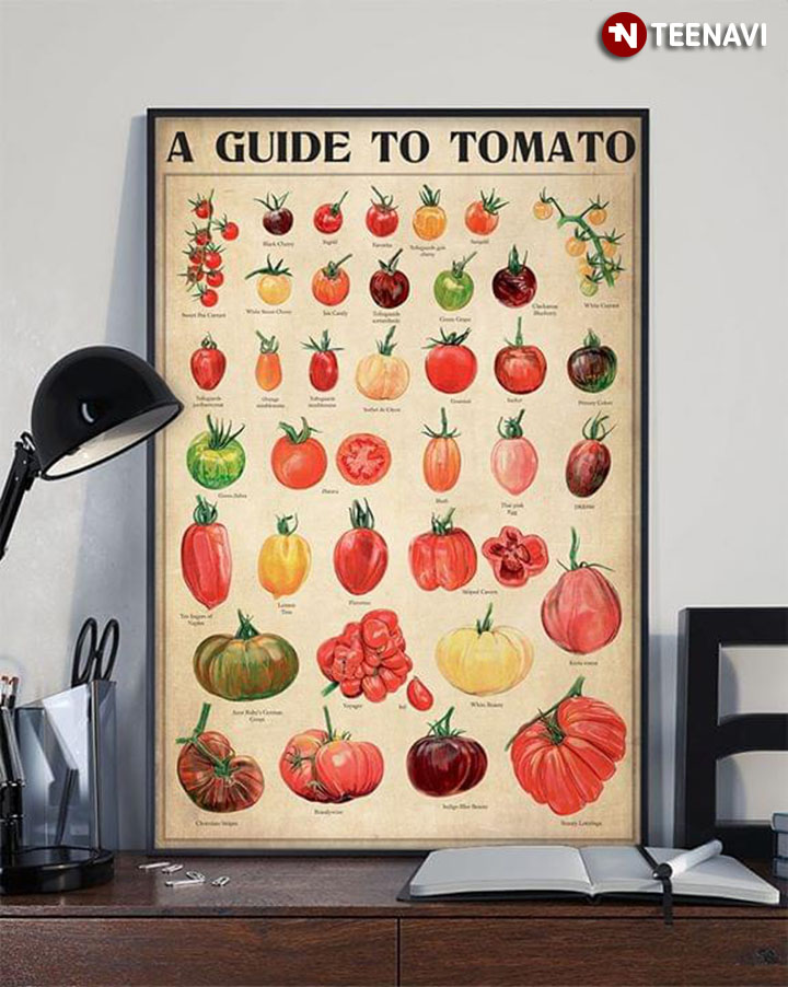 A Guide To Tomato