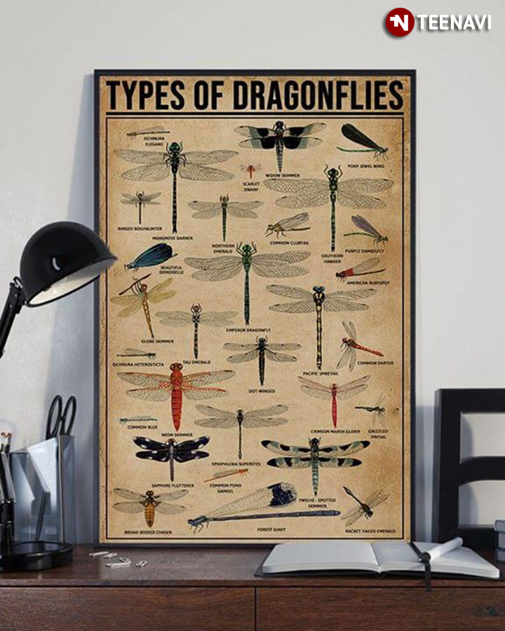 Types Of Dragonflies