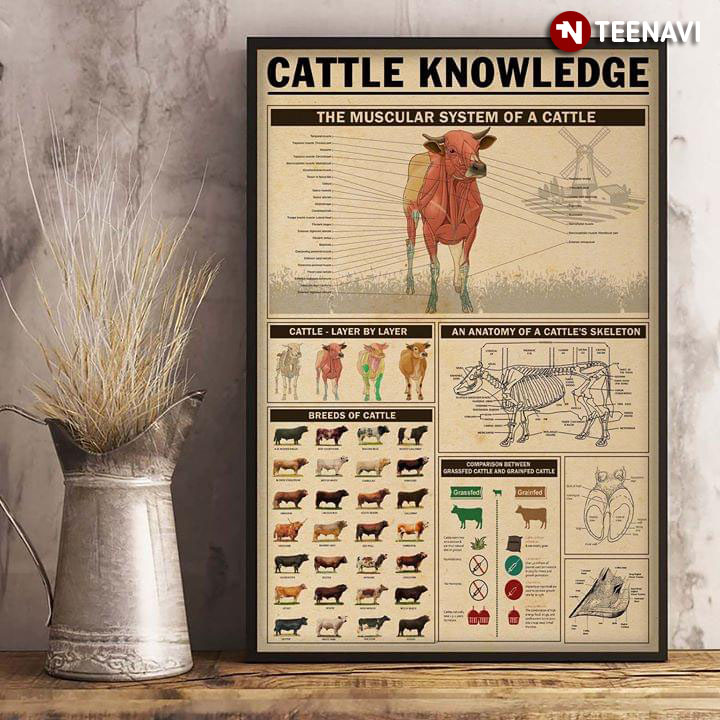 New Version Cattle Knowledge