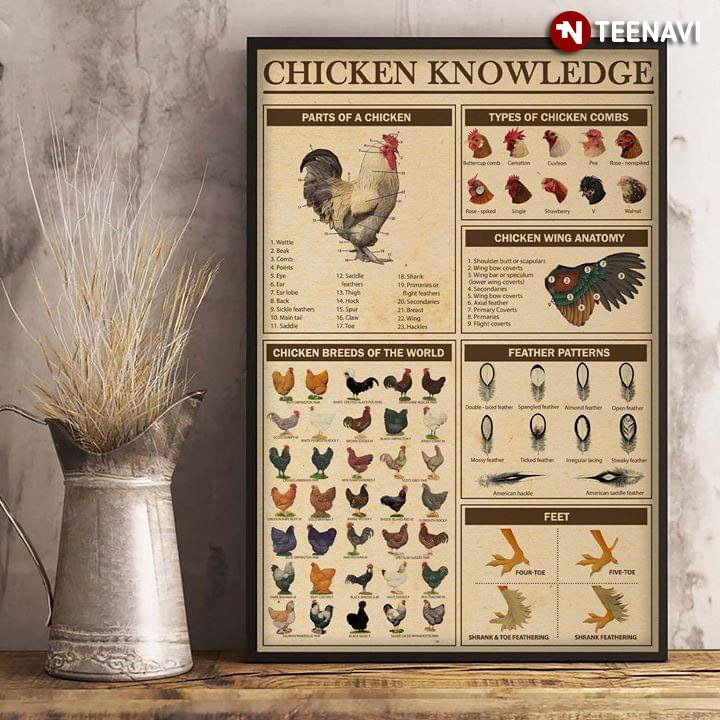 Chicken Knowledge