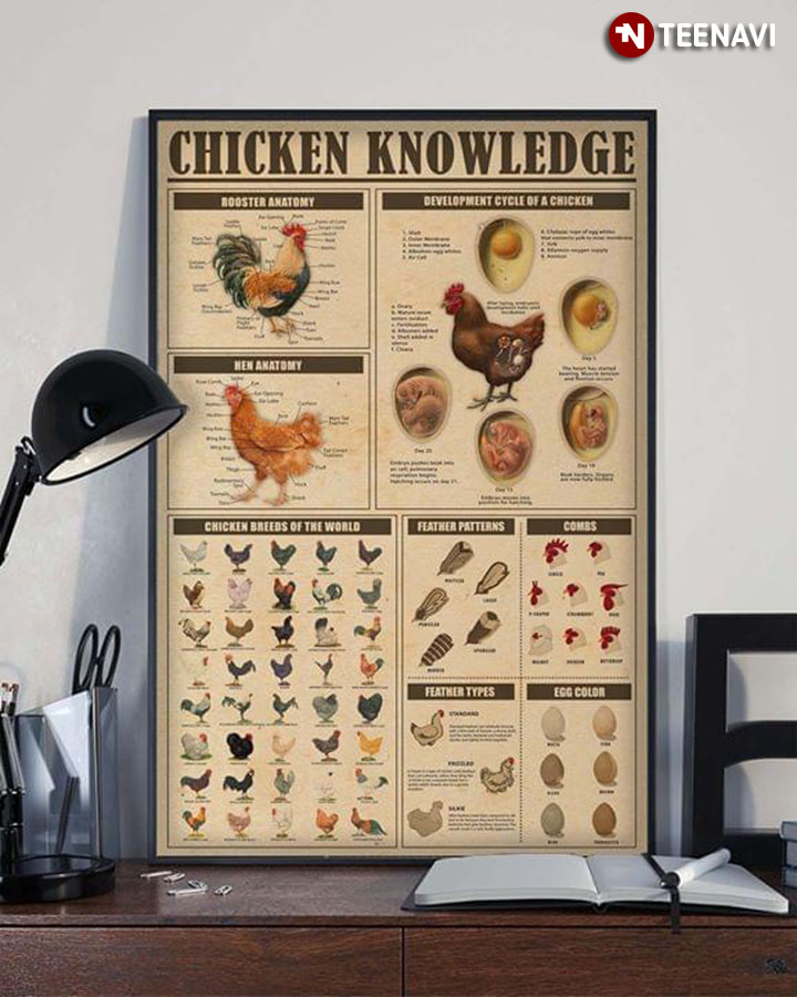 New Version Chicken Knowledge
